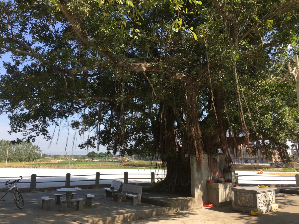 粤东惠来县西溪镇山陇村口