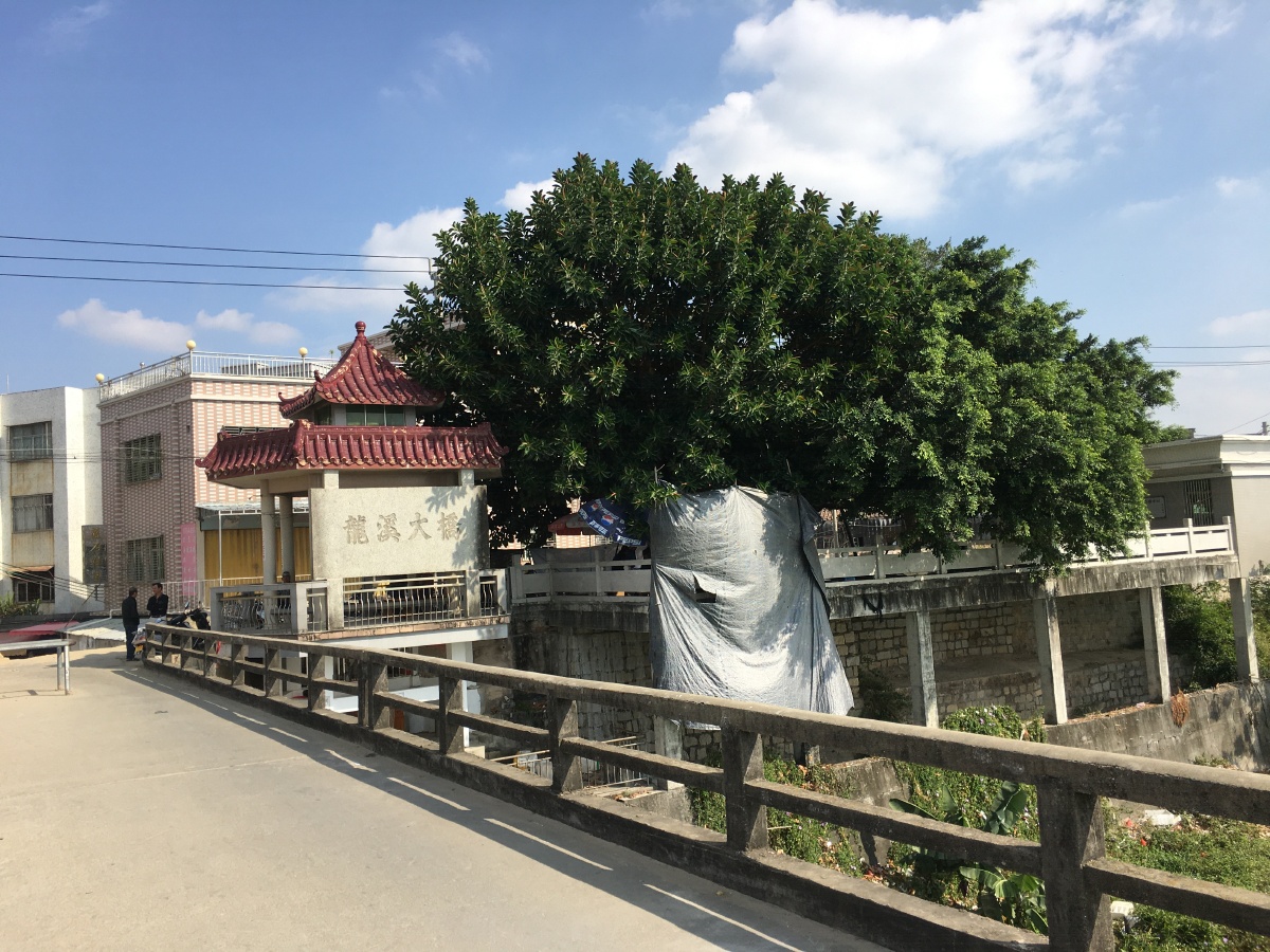 粤东惠来溪西镇龙江龙溪大桥