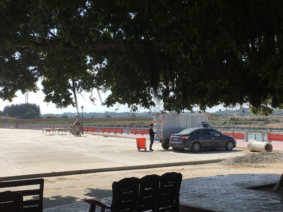 粤东陆丰甲东镇石清村大榕树