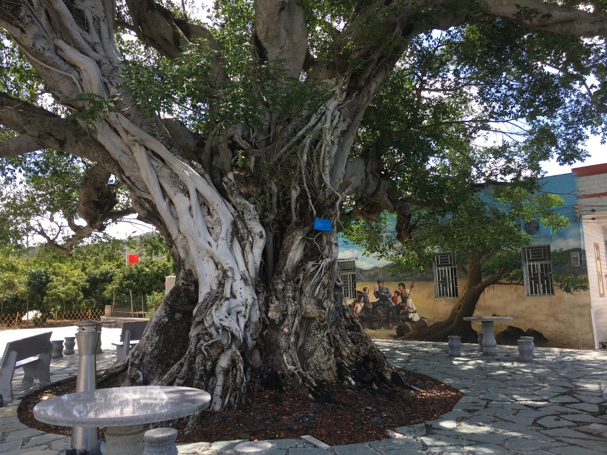 陆丰金厢黄厝村