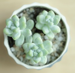 17F17E2B-E8B8-4BCD-AFCC-2D594E41CD1A/L0/001