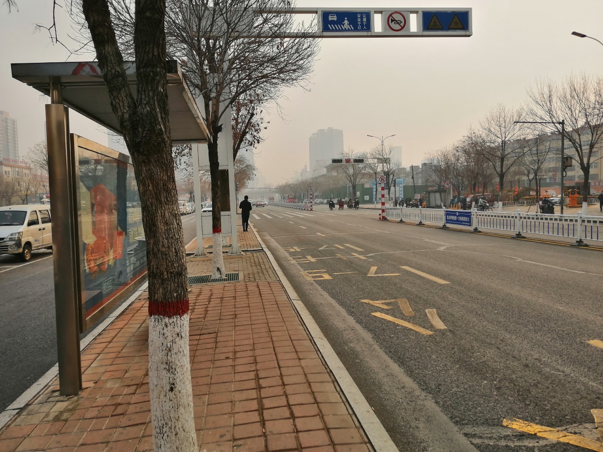 北方城市沧州的路边美景