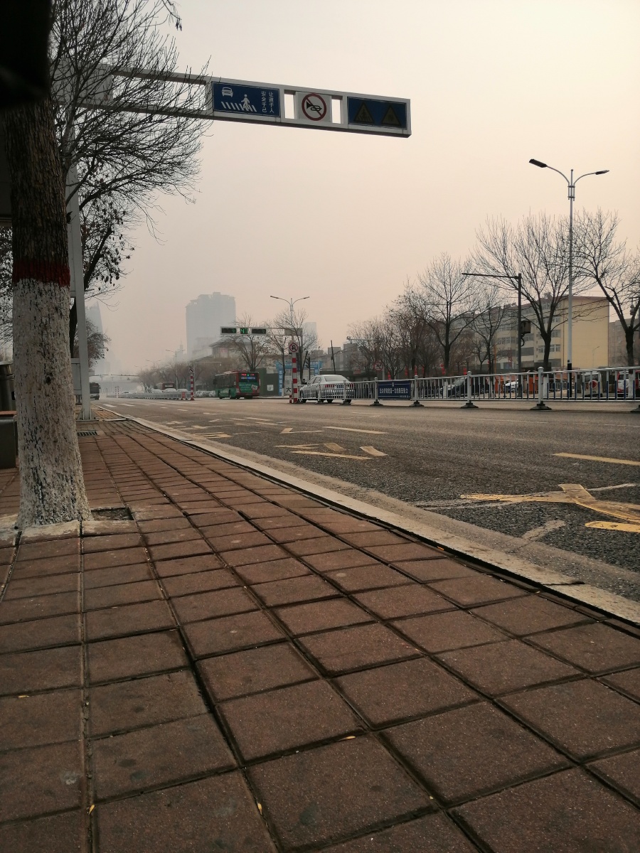 北方城市沧州的路边美景