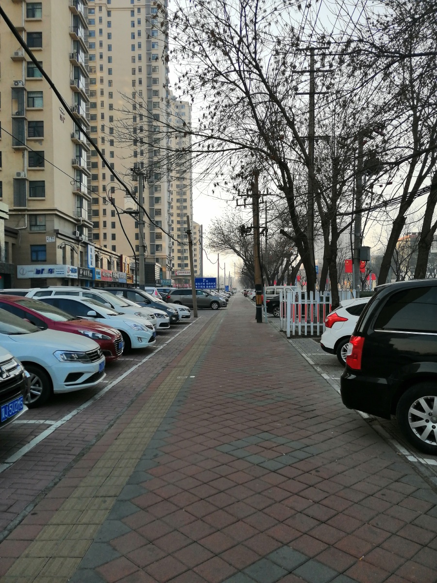 北方城市沧州一个路边的停车场