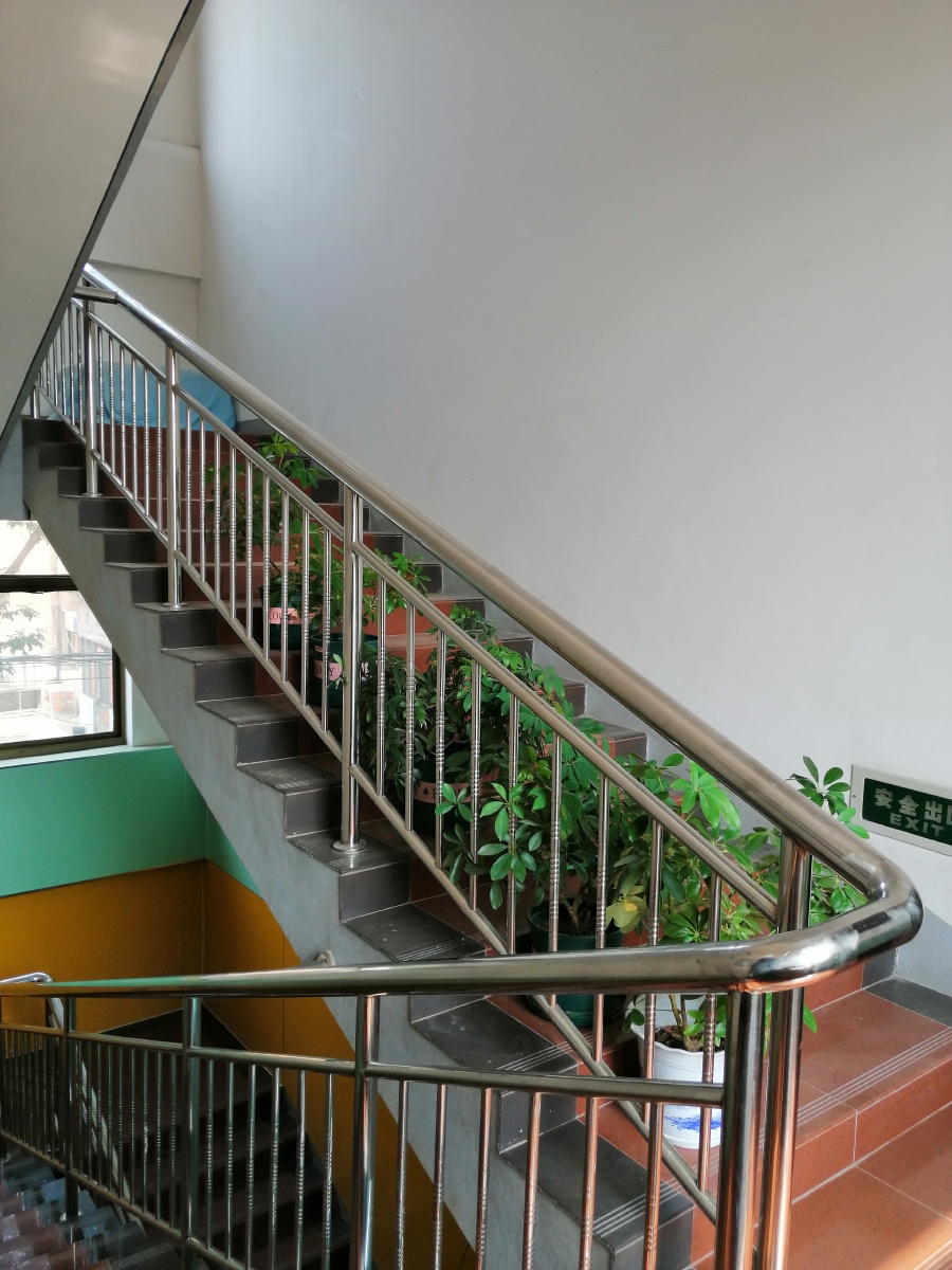 一所医院的内部景象楼梯扶手栏杆发财树