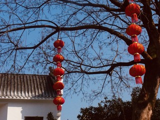 35CA97B5-055F-404D-8217-3B81CCD6DB8A/L0/001