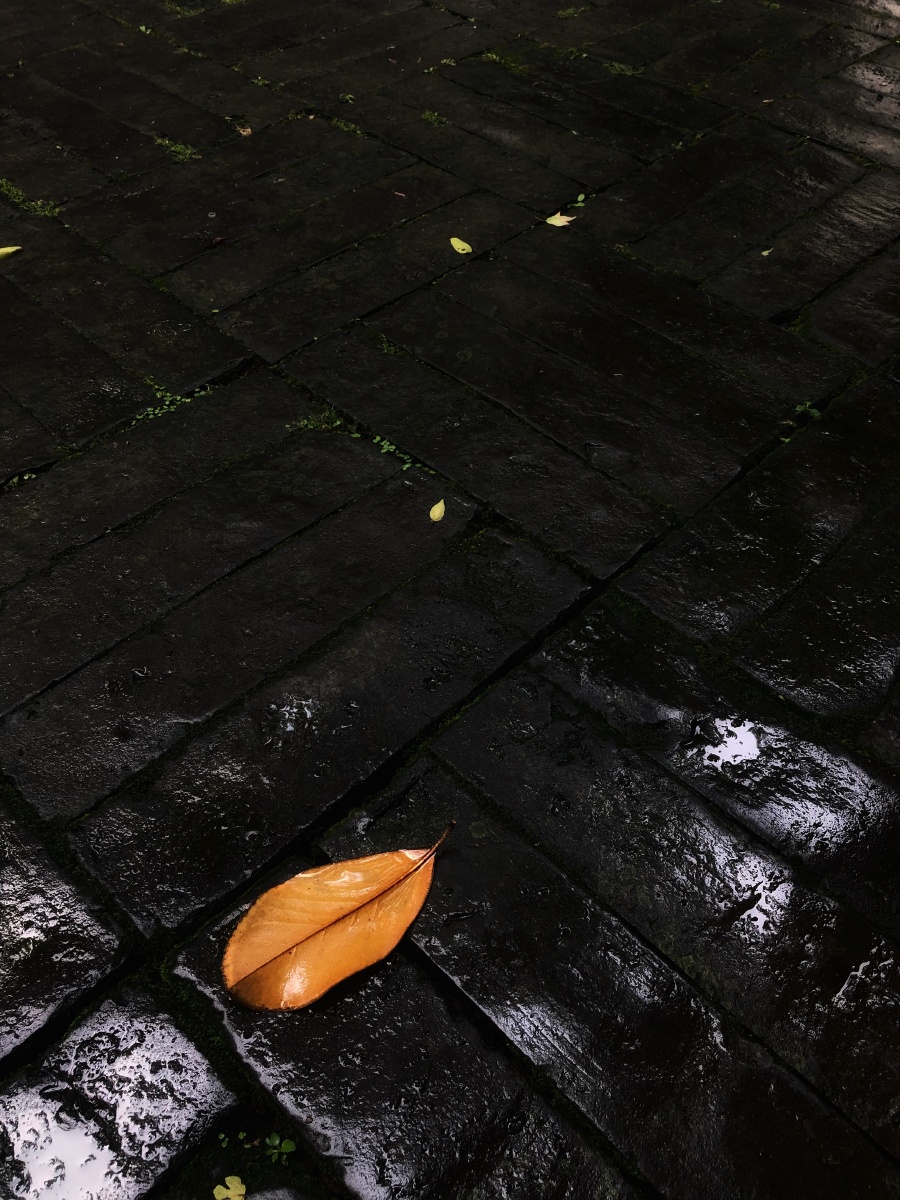 夏雨夏天的傍晚雨时下时息