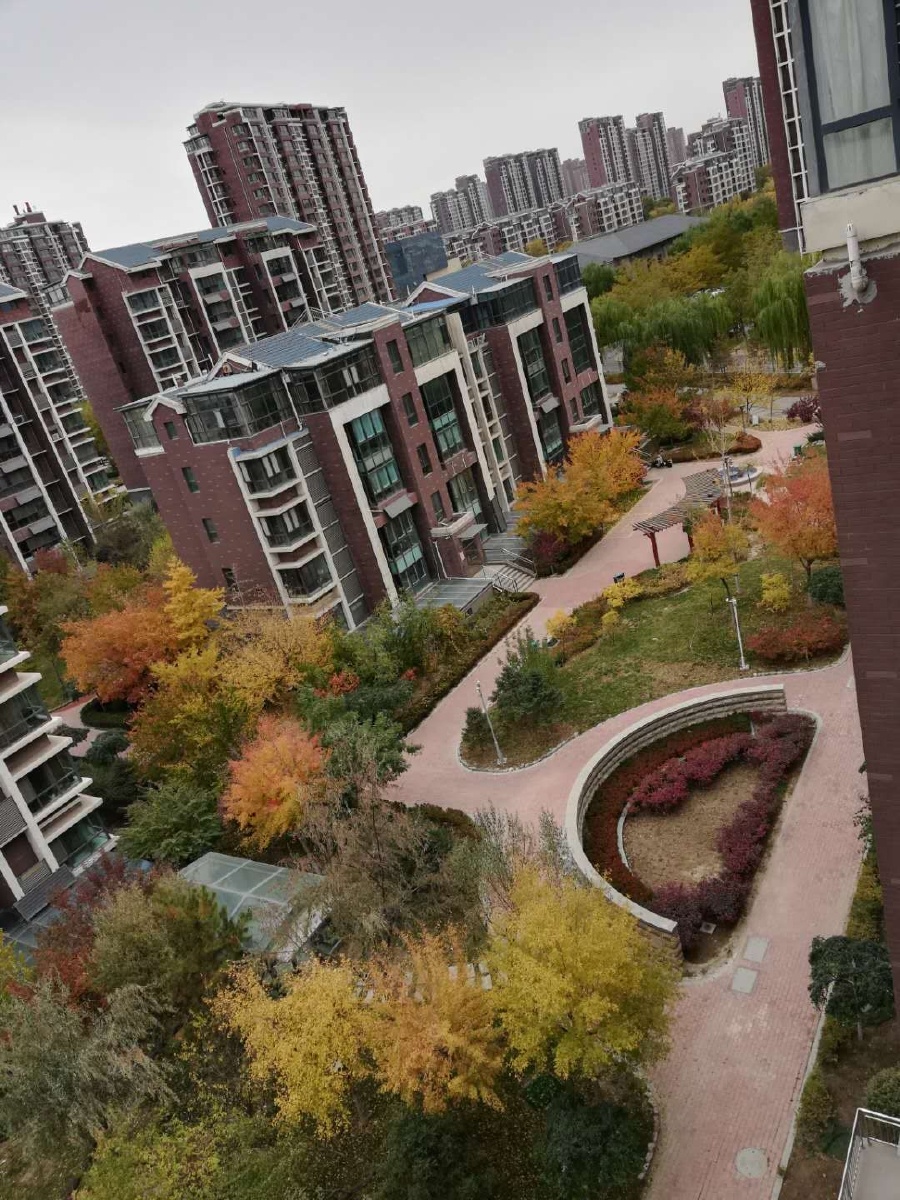 深秋景美如画的银川阅海万家