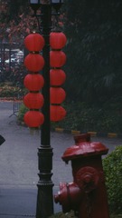 53600A05-A003-4A6C-B2EF-624DA10DAA26/L0/001