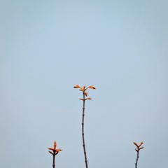 1015215