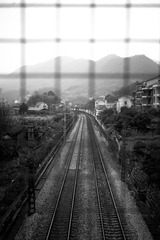 307918