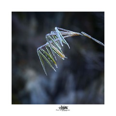 _DSC6104b