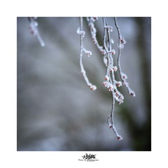 _DSC6118b