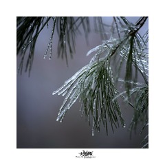 _DSC6142b