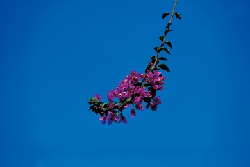 4468717D-0011-455E-901B-043375D28B53/L0/001