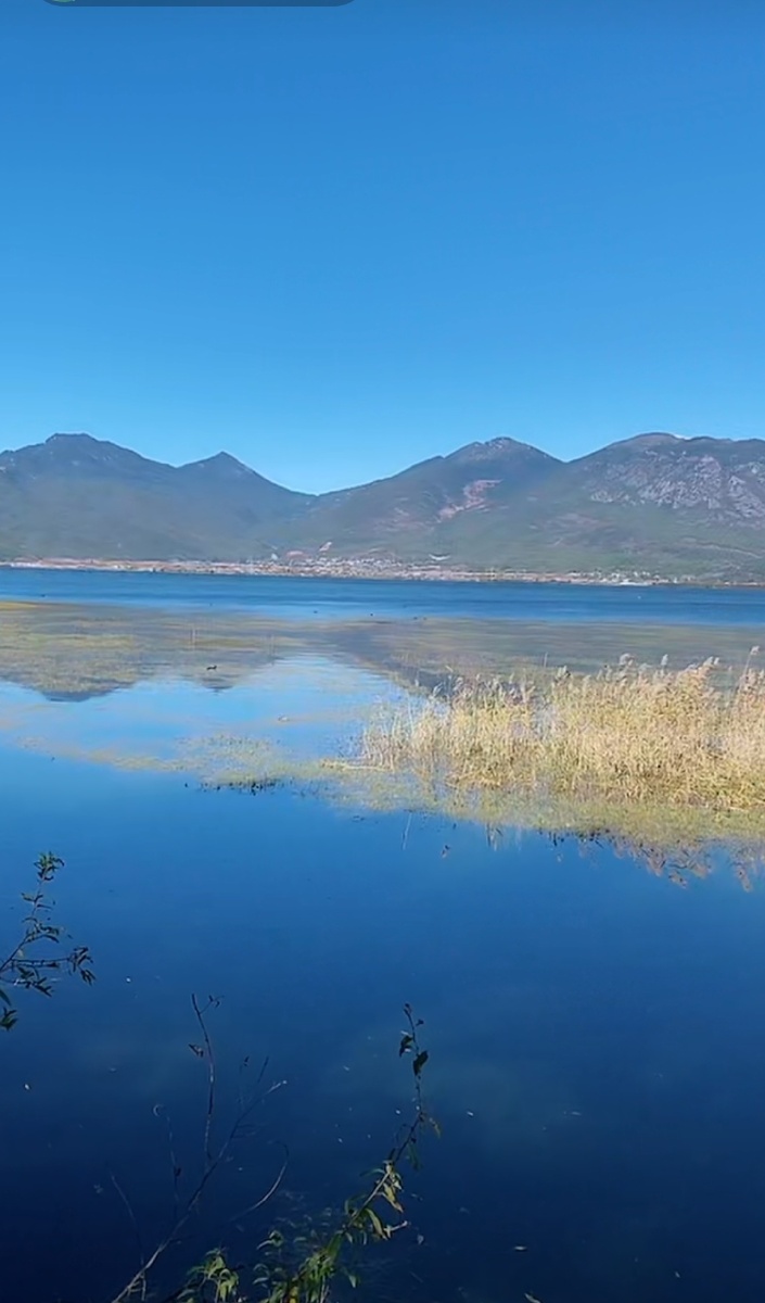 丽江拉市海风景