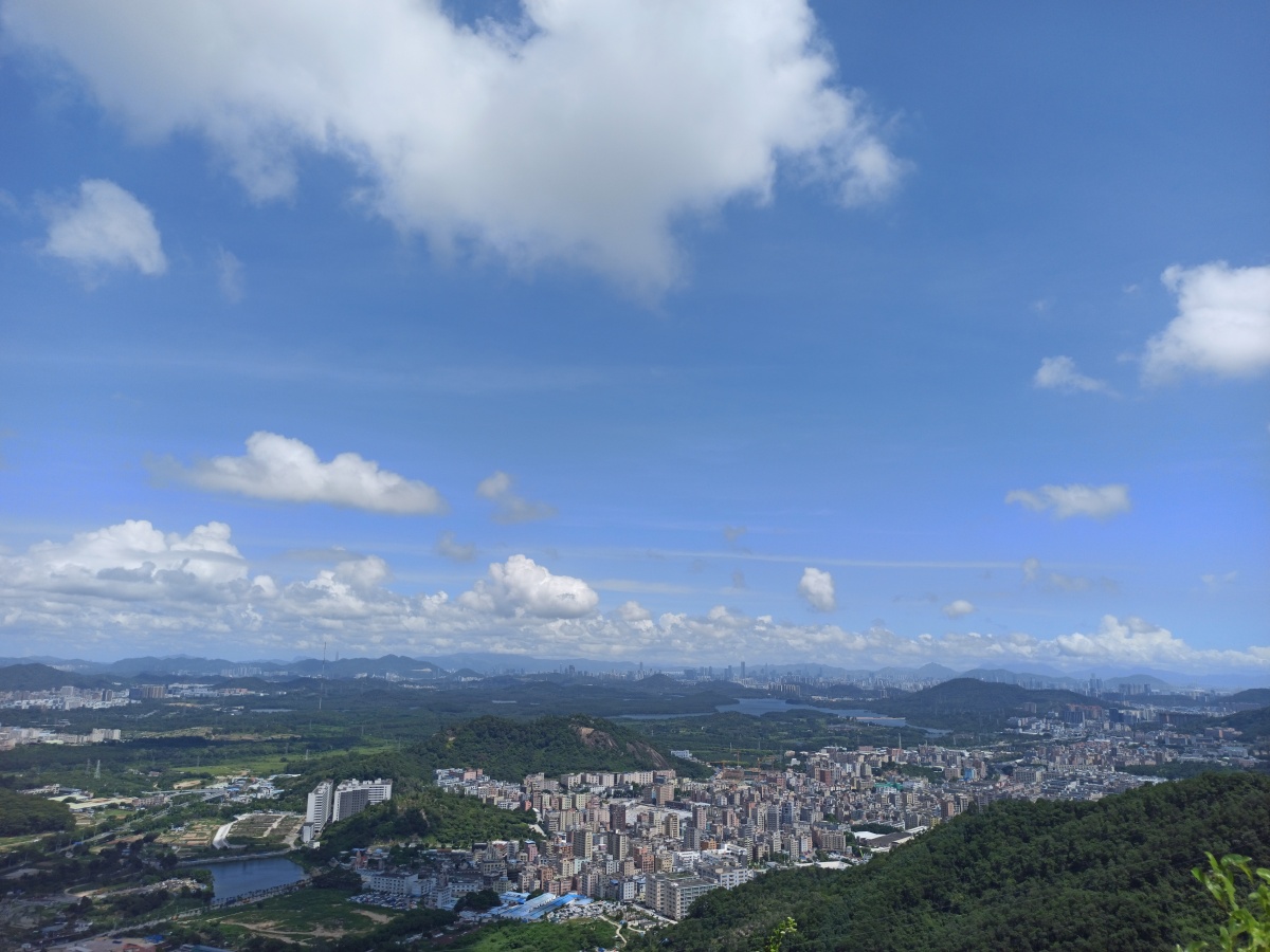 伶仃洋畔凤凰山