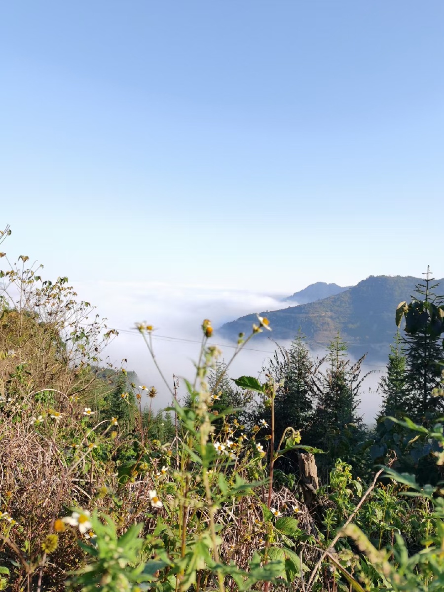 山咔咔的早晨,空气很清晰!