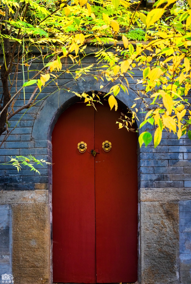 戴眼镜的小红门