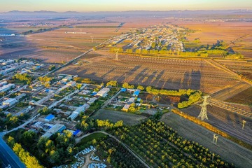 4894241
