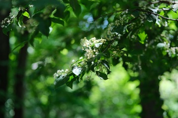0A052398-0DF7-42FE-93AB-E0850356907A/L0/001