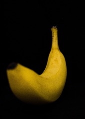 1365186