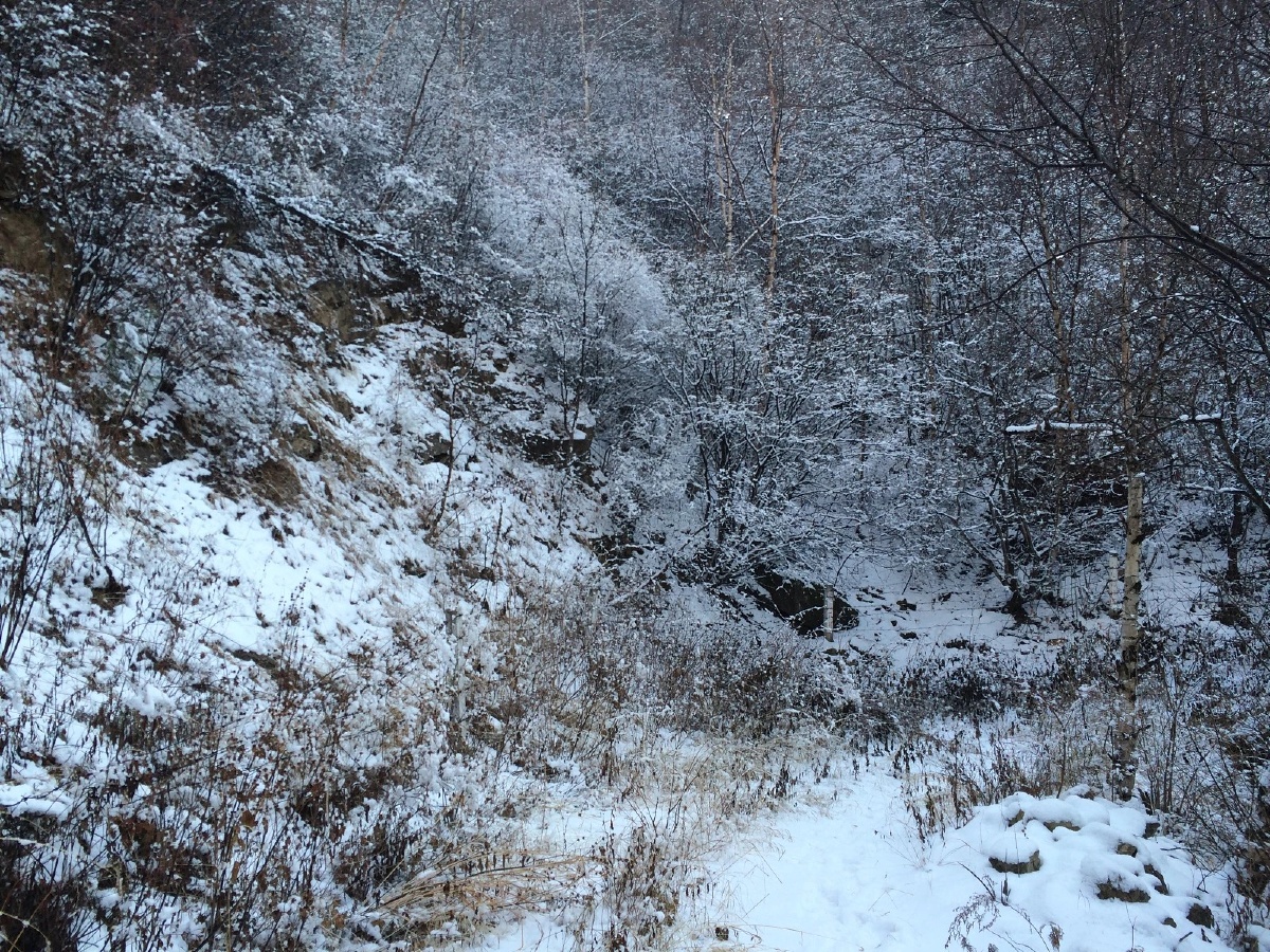 冬日里大雪过后的深山