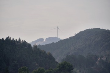 965D768E-F7D0-48AD-9C84-B813F0654D96/L0/001