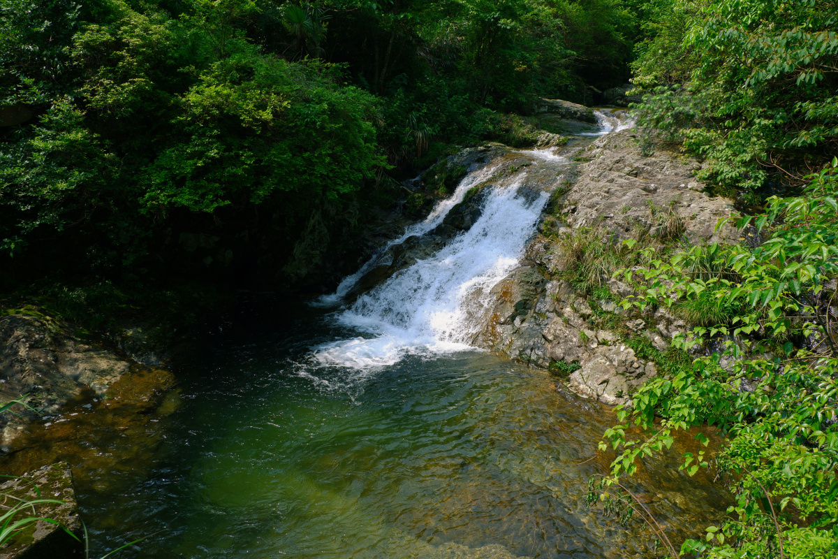 建宁高峰古道国家级自然保护区