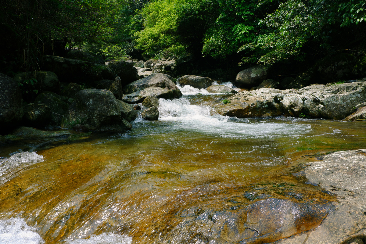 建宁高峰古道国家级自然保护区