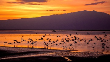 natron-1