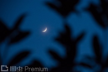 _DSC6982