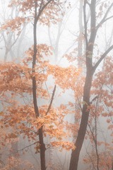 14843680-357F-413E-9BA3-EC0249E98E9C/L0/001