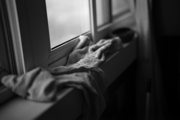 L1004392
