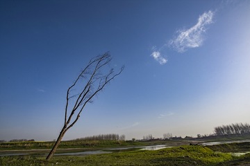DSC_4044_1