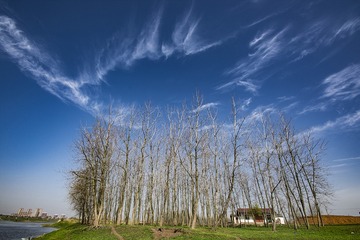 DSC_4137_1