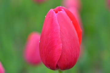 A01D287B-28F9-4FE0-BD3A-F56E15E055B0/L0/001