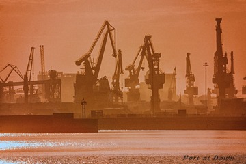 54E70501-5118-46F1-8F7A-236F02837A61/L0/001