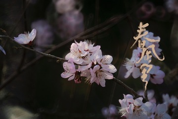 174D5CC5-6FD4-485D-887F-FFB50158DB64/L0/001