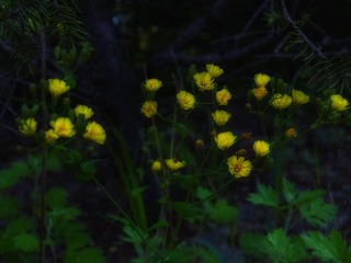 8511321F-00D2-43F5-9B5B-6874CA62D71F/L0/001