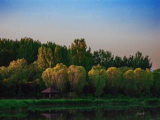 2468FCEF-12C8-44E5-A40C-63F14418B2F0/L0/001