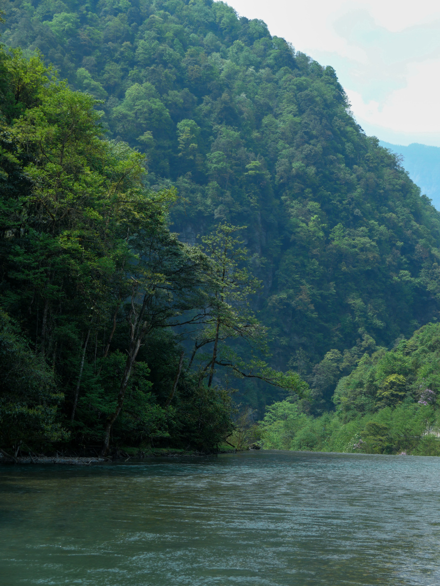 二郎山喇叭河鹿池