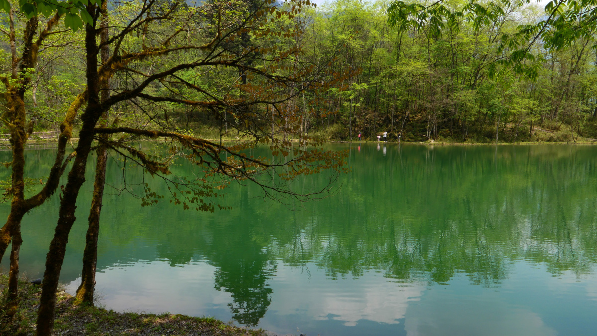 二郎山喇叭河鹿池