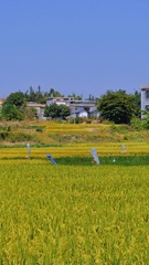 1AC1103B-93D2-4224-AECA-D50D34E22A21/L0/001