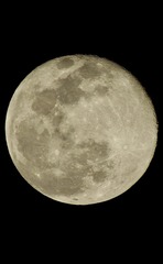 097123D7-2BD6-4140-AE23-523FBF00655B/L0/001