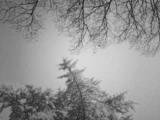 IMG_20141106_144252_mix02