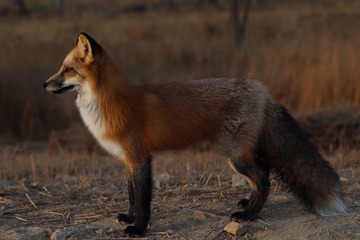 182054