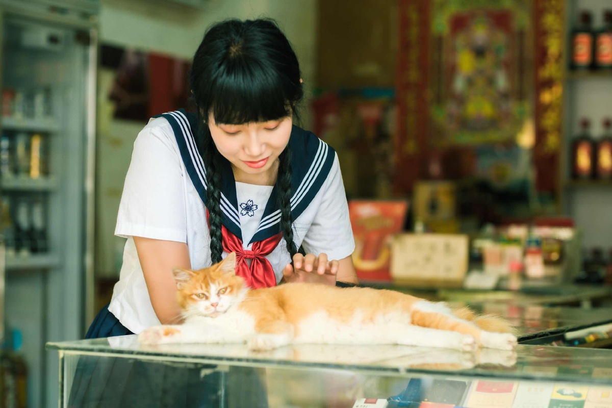 猫系少女