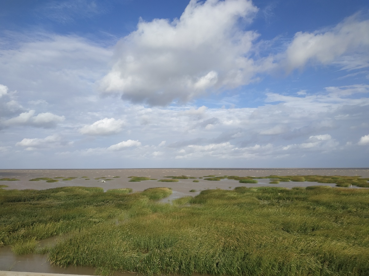 东海 黄海 - 张栗恺