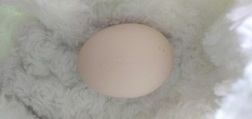 1678736
